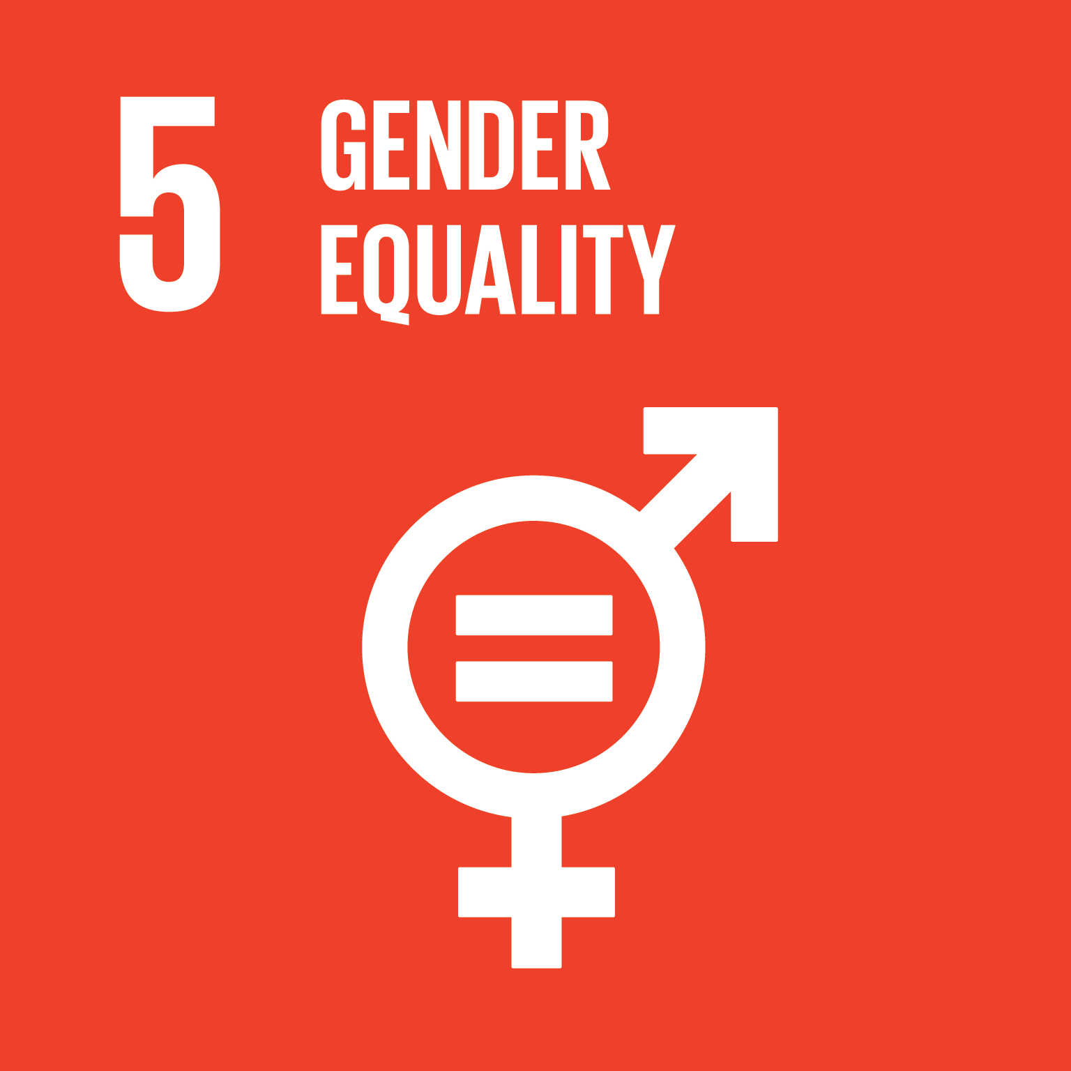 Goal 5 GENDER EQUALITY
